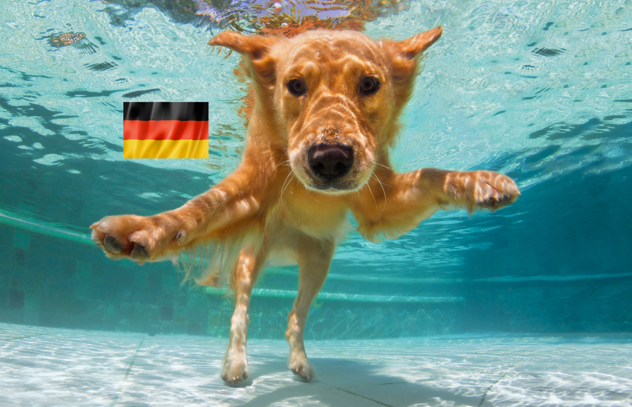most popular breeds in germany