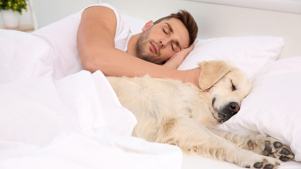 Why Dogs Sleep Next to Humans: What This Common Behavior Really Means