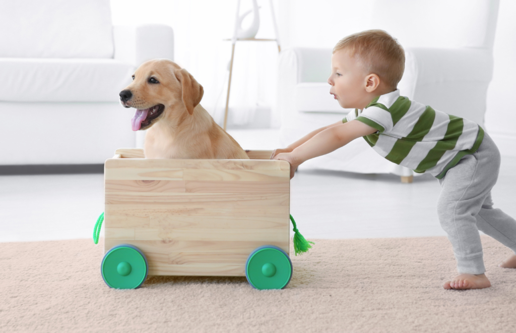 7 Most Popular Dog Breeds in Portugal