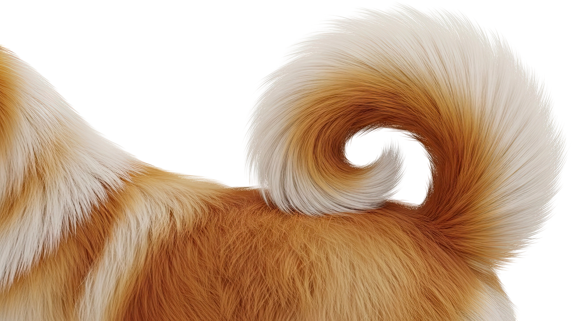 How Can I Keep My Dog’s Coat Shiny and Healthy?