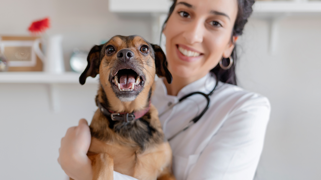 dog coughing