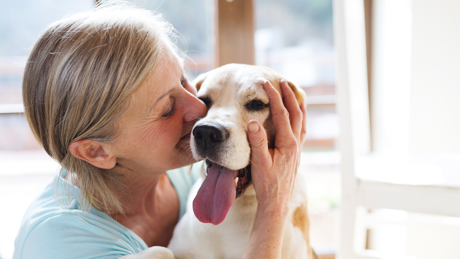 Why Dogs Follow You Everywhere: What This Clingy Behavior Really Means