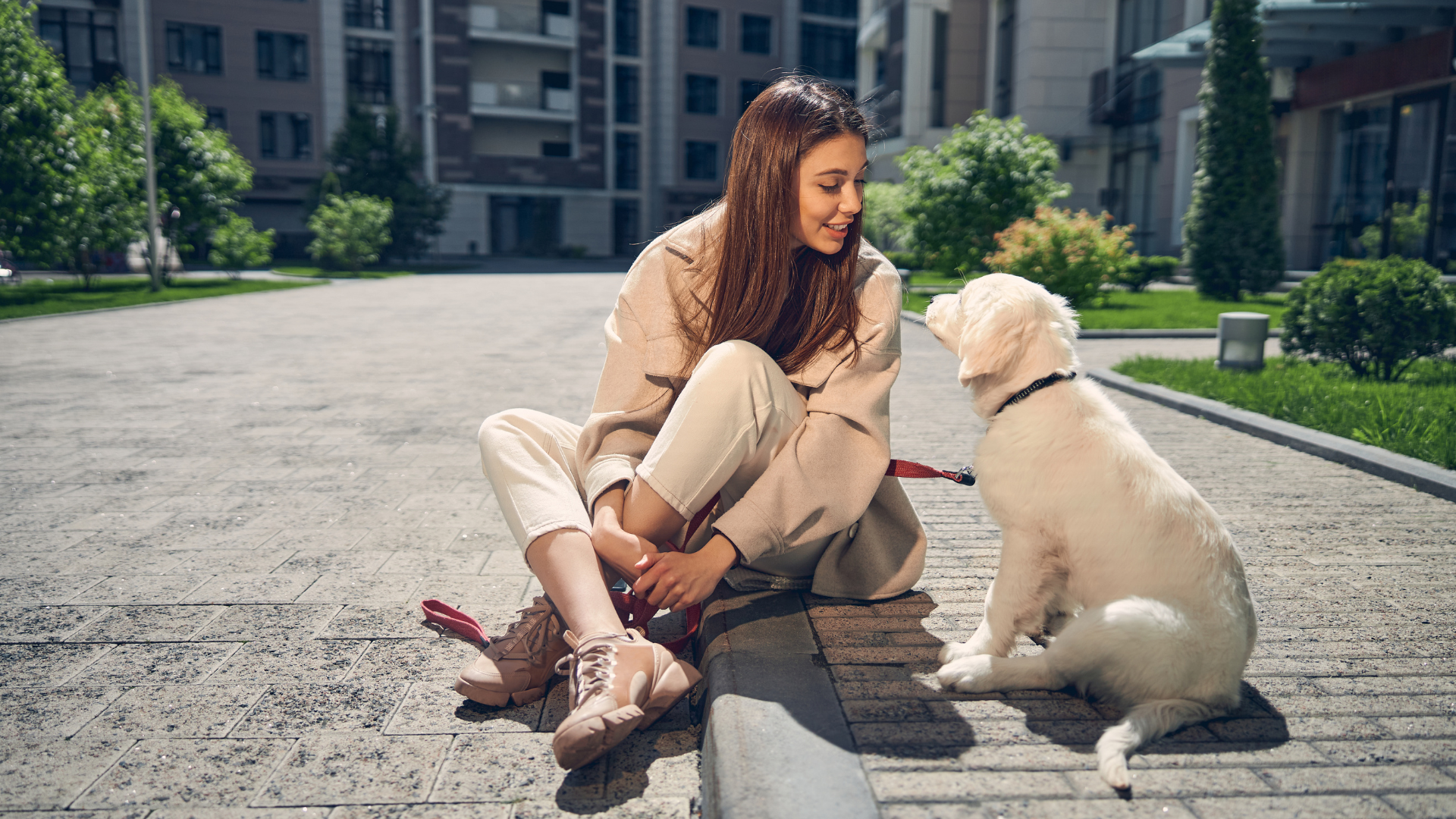 Why Dogs Stare at Their Owners: What This Common Dog Behavior Really Means