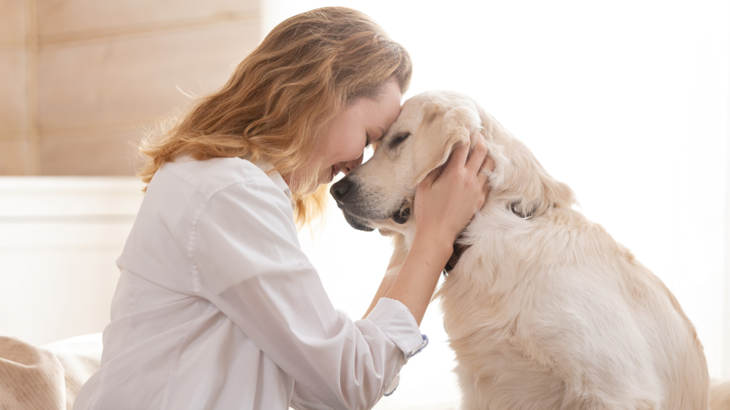 can dogs sense sadness
