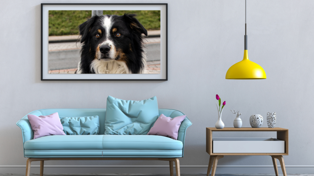dog lover room decor