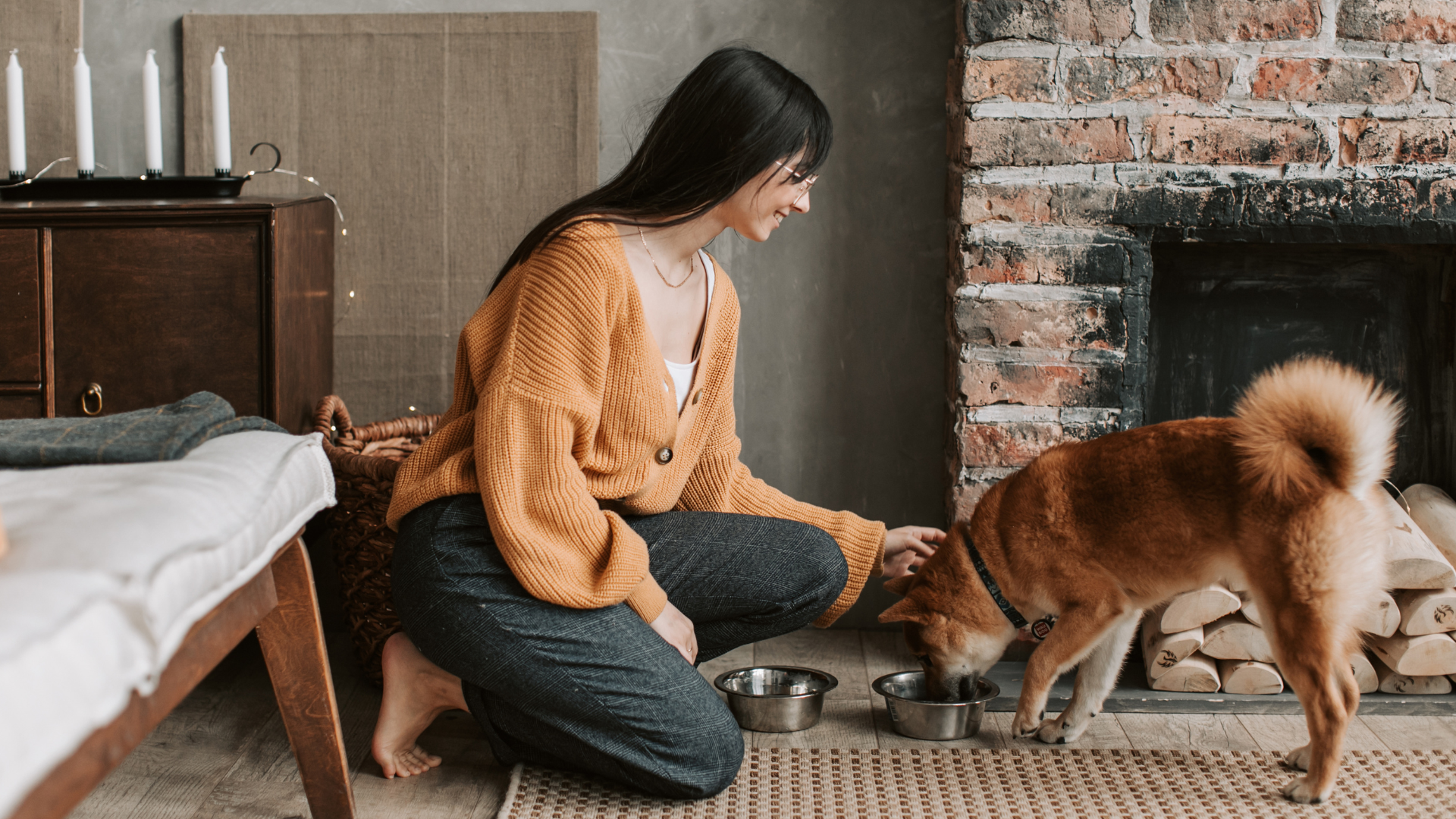 First Week With a Rescue Dog: What to Expect and How to Help Them Adjust