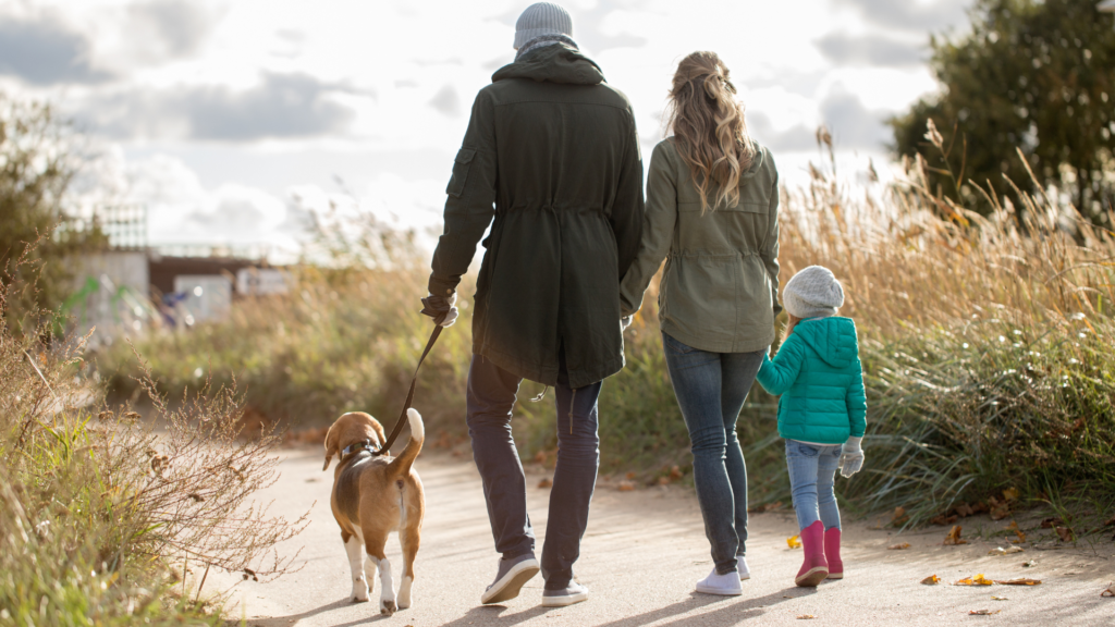 how often should you walk your dog